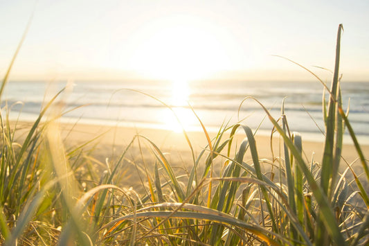 Embracing Sustainability